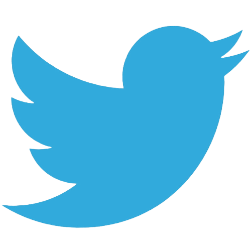 Twitter website icon